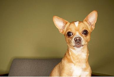 《星空》玩家数破1100万 近一半游戏时间是PC平台贡献